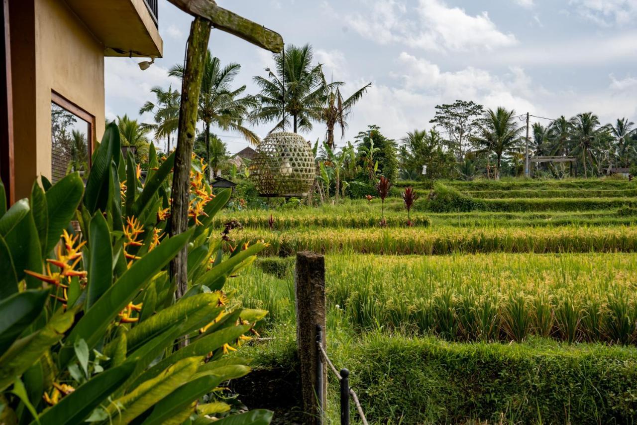 Barong Bali Villas Убуд Экстерьер фото